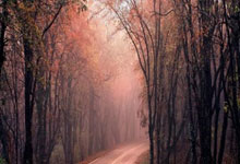 cq9电子:DFS談東契奇與詹姆斯 傳球藝術渾然天成.