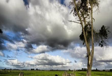 cq9电子:MLB/布萊格曼紅襪首戰 3支3還開轟.