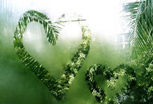 齊達內僅考慮執教法國隊、尤文和拜仁,他表示願意加盟尤文.